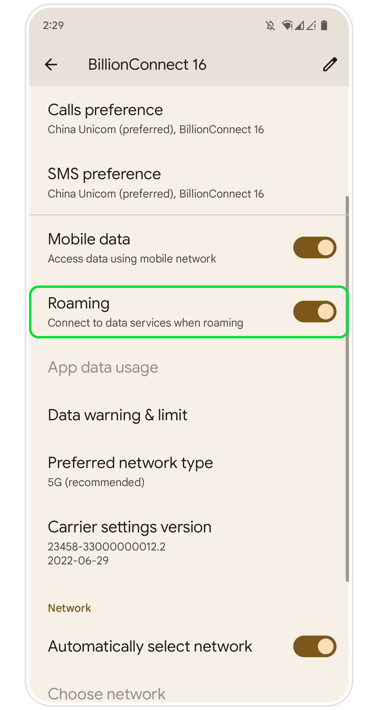 Google eSIM Step 14